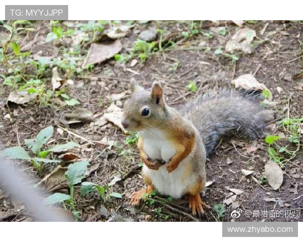 亚博体育线上登陆安全指南：确保账号信息安全的详细操作步骤