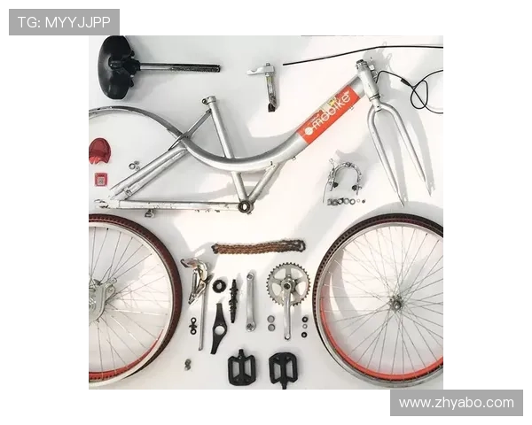 亚博YB平台网页版用户评价与使用体验分享，助您做出明智选择